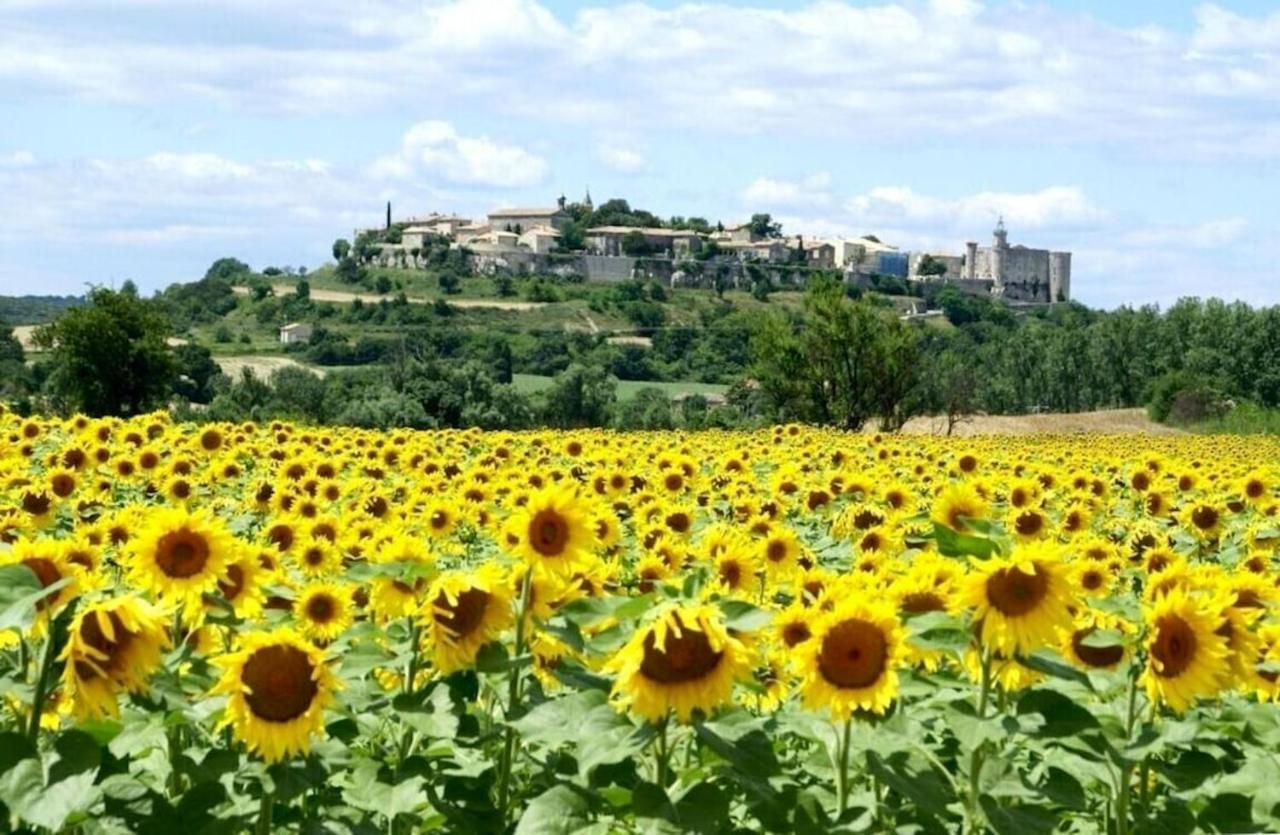 Villa Charmante A Lussan Avec Piscine Privee Et Jardin Closa Exteriör bild